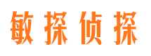 桃山寻人公司